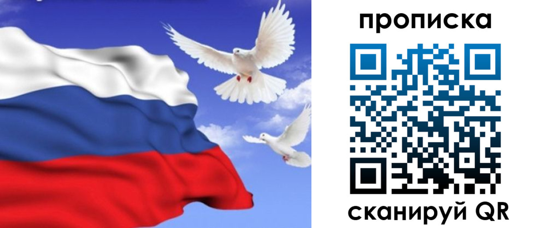 временная регистрация гарантия в Твери